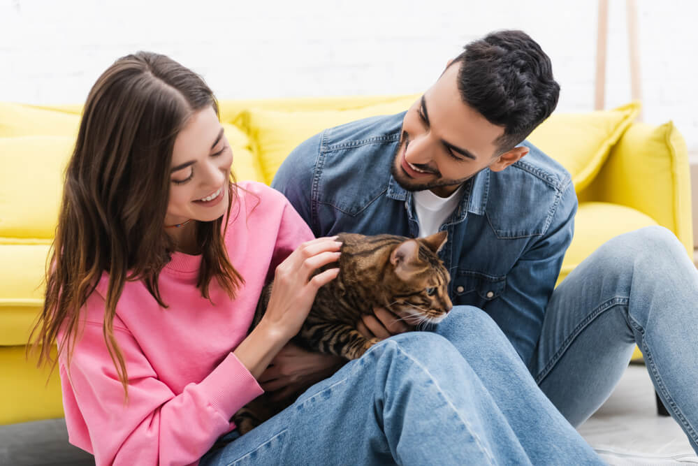 Cheerful multiethnic couple looking at bengal cat at home