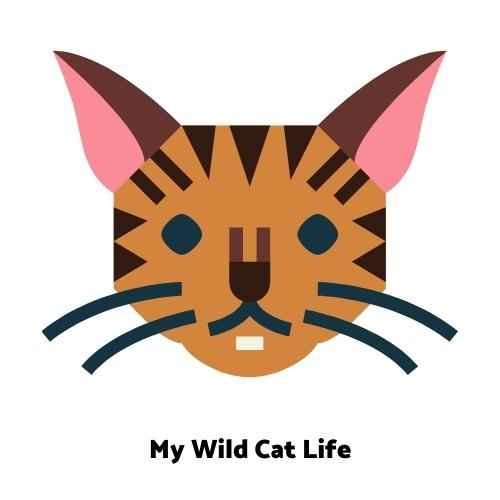 My Wild Cat Life LOGO